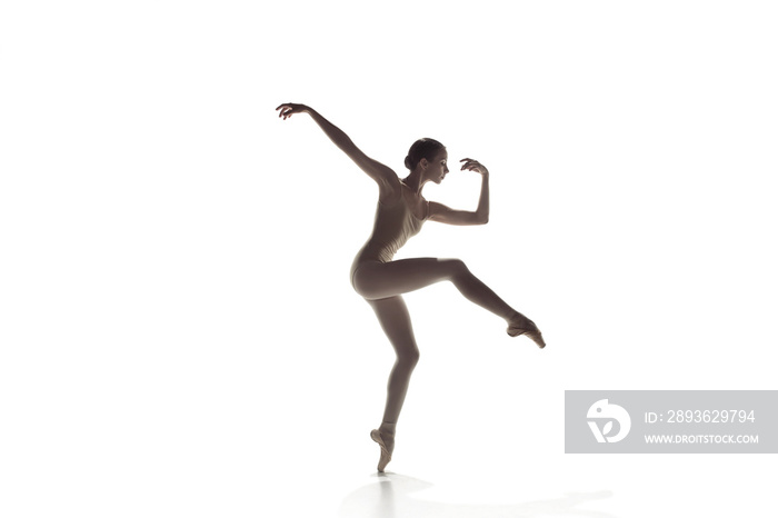 年轻优雅的女芭蕾舞演员或在白人工作室里跳舞的经典芭蕾舞演员。高加索