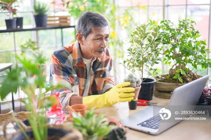 Senior man entrepreneur working with laptop presents houseplants during online live stream at home, 