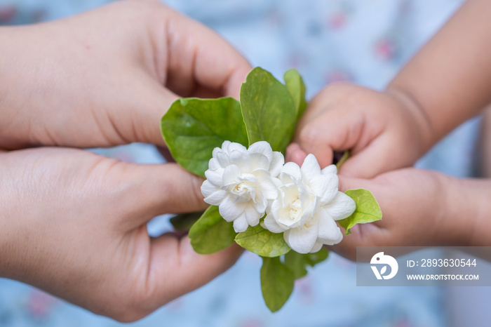 茉莉花，泰国母亲节小女孩向母亲献茉莉花