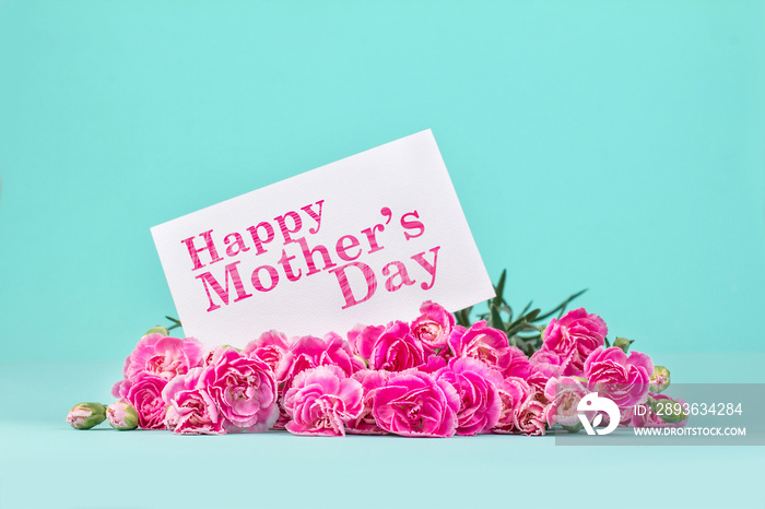 beautiful blooming of  pink carnation flowers on with card and Happy Mothers day message , mothers