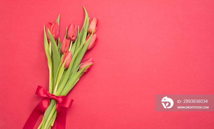 红色背景的郁金香花束。情人节庆祝礼物