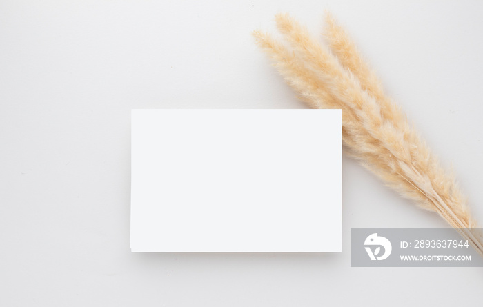 White invitation card mockup with a pampas grass on grey background, Minimal grey workplace composit