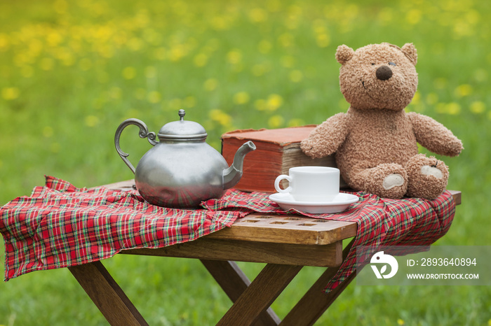 Basket for picnic with teddy bear on a blanket in the park