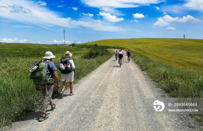 pellegrinaggio sulla via francigena