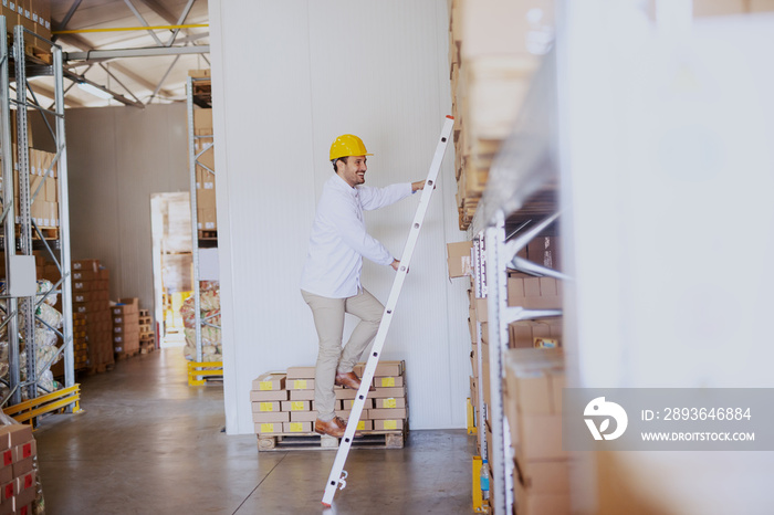 Smiling young Caucasian male blue collar worker climbing ladder and checking on goods in boxed in wa