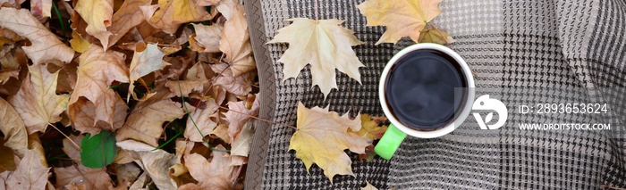 Autumn leaves and hot steaming cup of coffee lies on checkered plaid outdoors