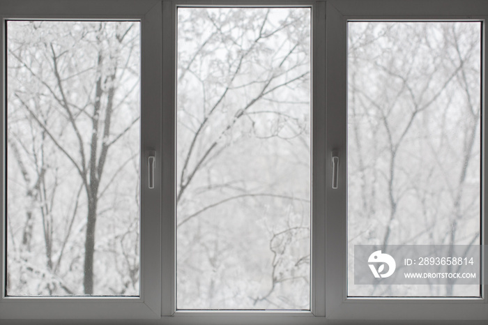 Window with winter view of snowy background.