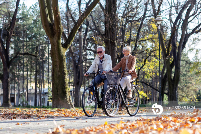 Mature fit couple ride in bicycles thru public park