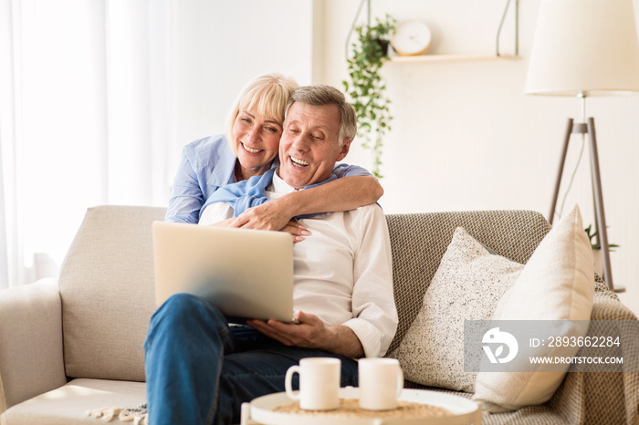 快乐的老年夫妇在笔记本电脑上进行视频通话