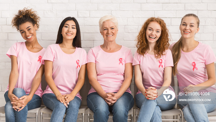 Ladies In Pink T-Shirts Sitting On Chairs Smiling Indoor, Panorama