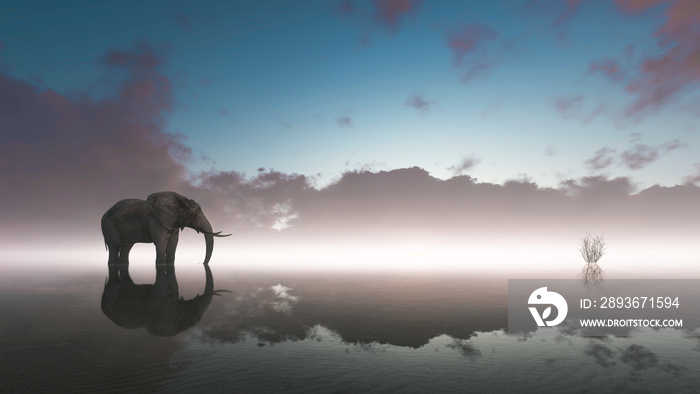 Lonely elephant stands on foggy lake at sunset