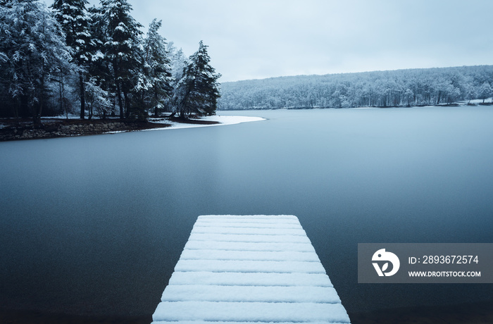 鼹鼠（码头）被雪覆盖的黑暗景观照片，背景是结冰的湖泊——冬季。Fr