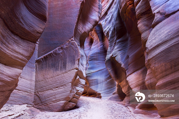 Buckskin Gulch Narrow Point的高砂岩悬崖墙，世界上最长的峡谷，为我提供食物