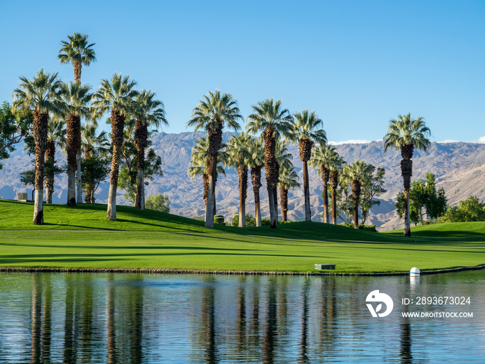 加利福尼亚州棕榈沙漠高尔夫球场上的水景景观。棕榈沙漠和棕榈泉很受欢迎