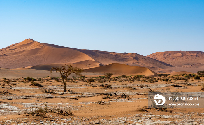 Désert de sossusvlei en Namibie, Afrique