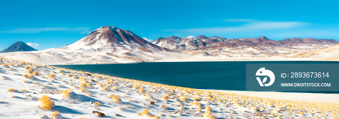 Miscanti Lagoon and Miscanti hill in the Altiplano (High Andean Plateau) at an altitude of 4350m, Lo