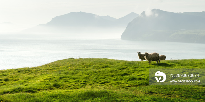 Morning view on the summer Faroe islands