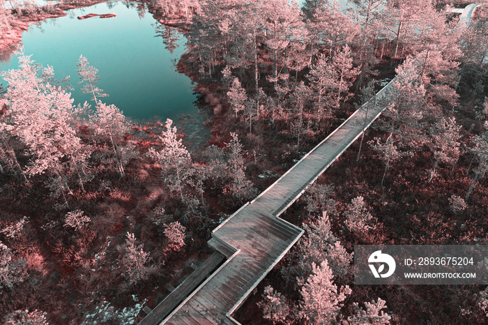 湖与湖之间木板路甲板照片中的红外无人机鸟瞰图