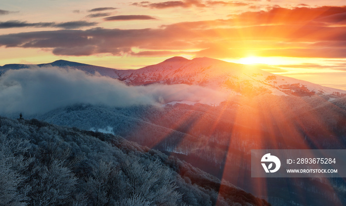 日出时的冬季山脉全景。雾蒙蒙的山丘和被边缘覆盖的树木景观