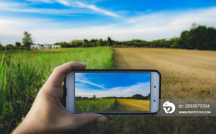 photographer taking a landscape pictures with a smartphone in a half-mowed plantation field
