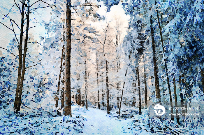 数字艺术绘画画布-美丽的冬季景观：a d中树木之间的白雪皑皑的小路