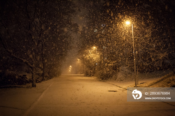 大量降雪，人行道空无一人