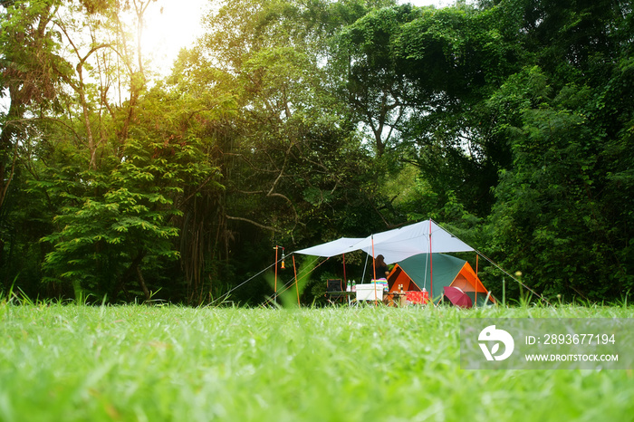 nature landscape camping tent and camper with tarp or flysheet under tree on green grass meadow in j