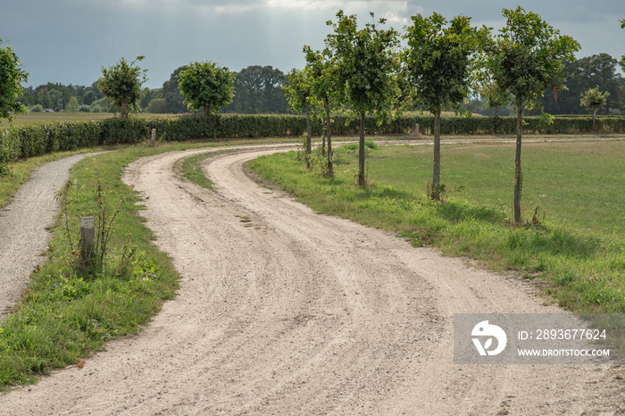 Curved dirt road in summer rural landscape under cloudy sky.