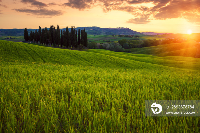 Rolling fields of Tuscany at sunset