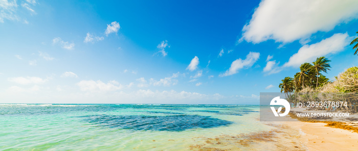 Bois Jolan beach in Guadeloupe under clouds