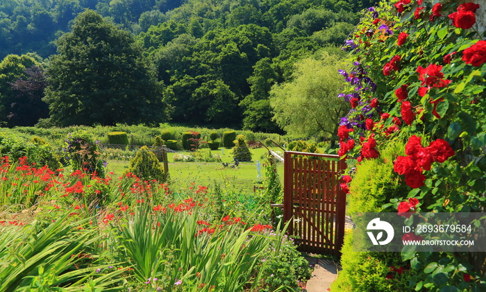 Countryside garden in village of Branscombe in East Devon