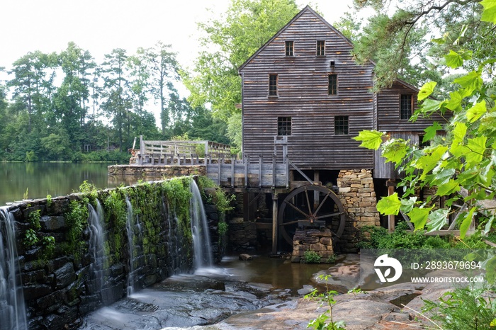 Summertime at Historic Yates Mill County Park in Raleigh North Carolina