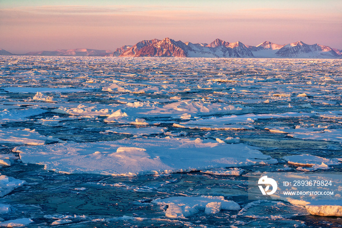 Sea Ice - North Atlantic - Greenland