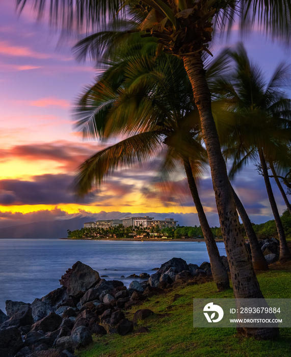 Hawaii resort with palm trees and mountains