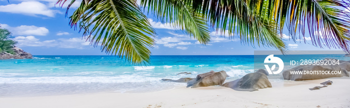 tropical beach with palm trees, Seychelles 