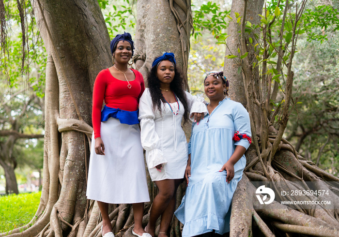 穿着传统颜色坐在树上的海地妇女