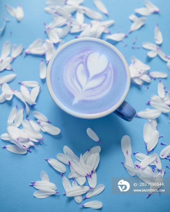  trendy blue coffee drink matcha latte on a blue background and on a background of white petals