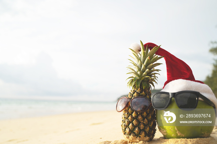 Coconut Holiday  with glasses and Santa Claus hat and pineapple,Concept Christmas on the beach Tropi