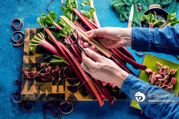 cropped shot of person holding fresh ripe healthy rhubarb stalks  