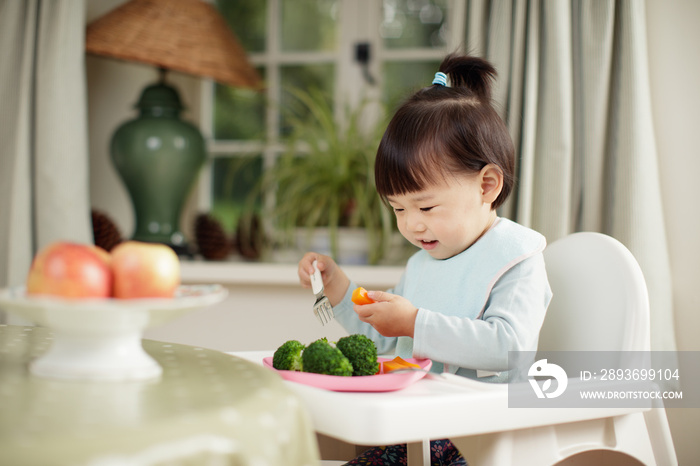 toddler girl eating  healthy  vegetable sitting on high chair beside a dinner table at home