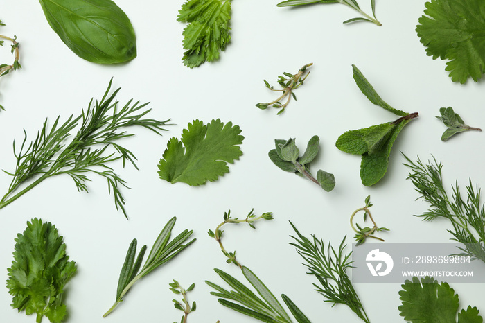 Fresh herbs on white background, top view