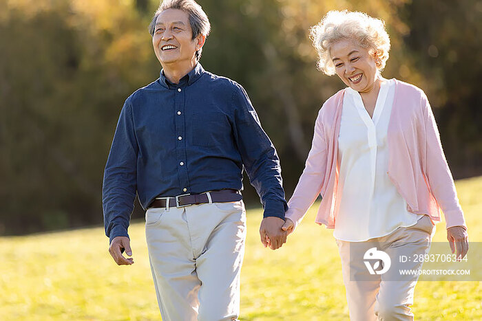 快乐的老年夫妇手牵手在草地上散步