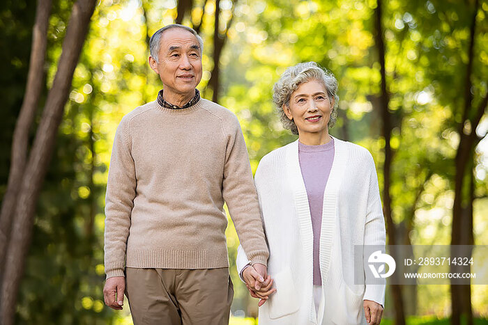 甜蜜的老年夫妇