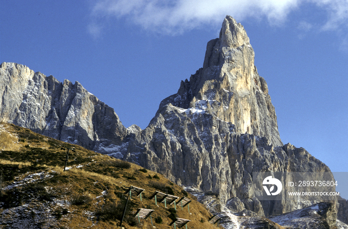 Dolomites, Rolle Pass, Italy.