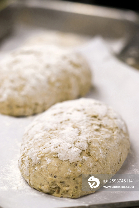 Homemade bread, Italy, Trentino Alto Adige