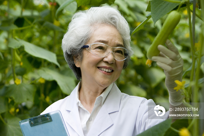 农艺师在现代农庄做科学研究