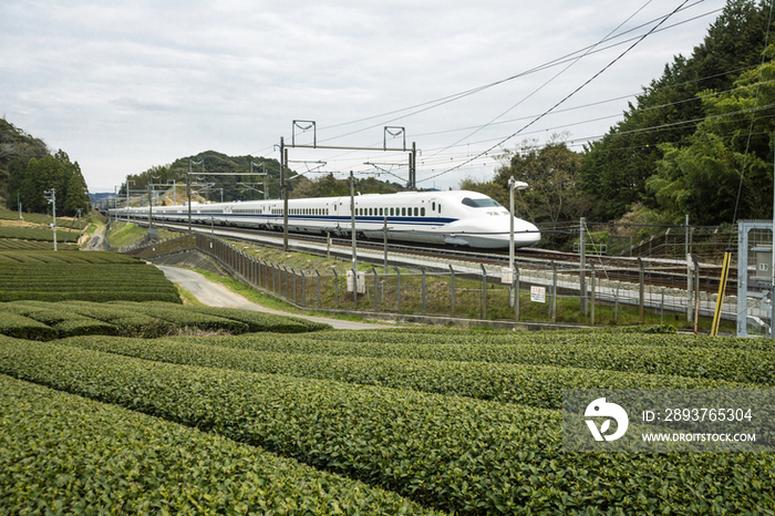 Tea plantations and Shinkansen,Kanagawa,Japan