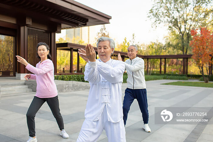 老年人在公园练太极