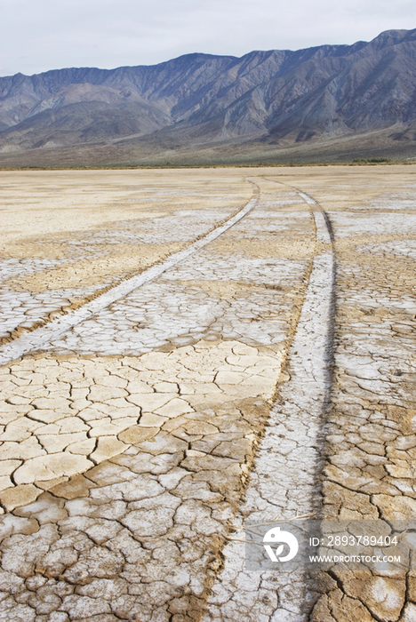 Anza-Borrego Desert State Park in California