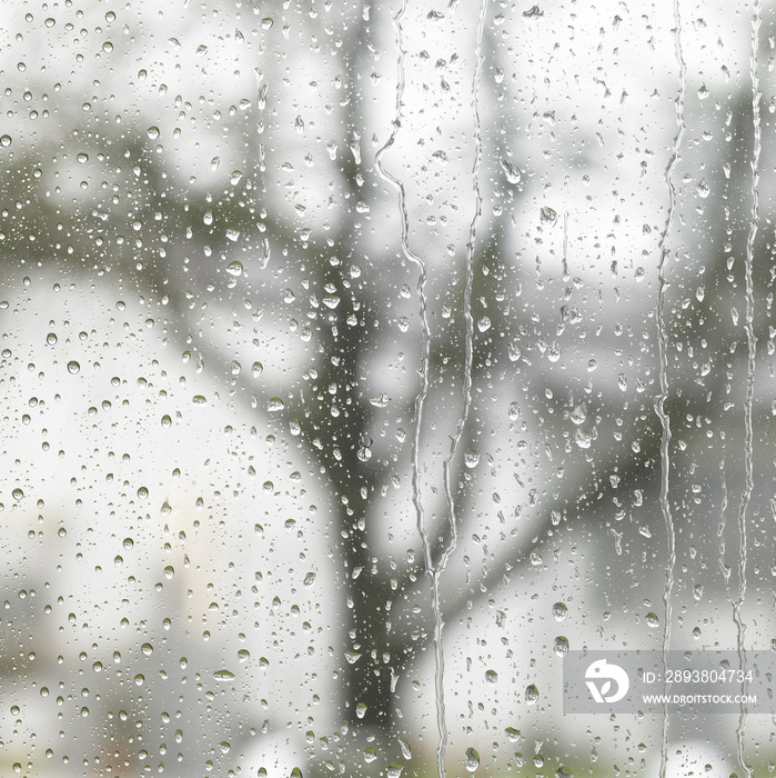 雨的细节在模糊的后面